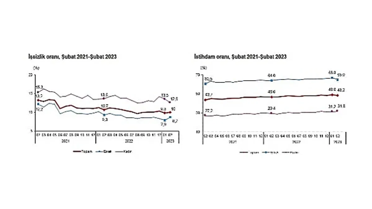 TÜİK: İşgücü İstatistikleri, Şubat 2023