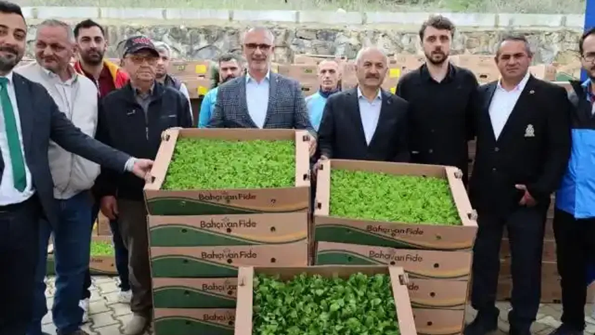 Kocaeli'de çiftçilere sebze fidesi desteği