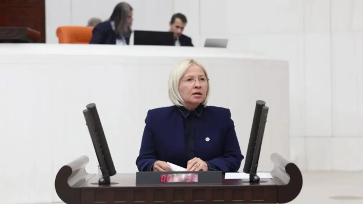 CHP'li Yontar'dan vize serbestliğine sert tepki