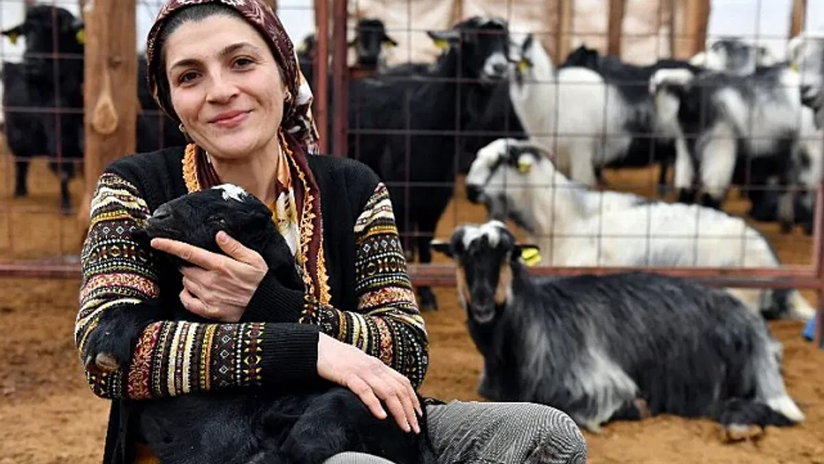 Hayvancılıkta üreticilerin desteklerle yüzleri güldü