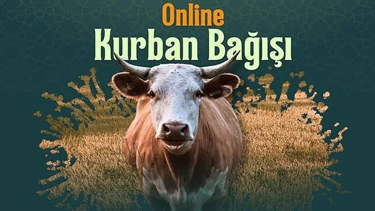 Kurban Bağışı Nedir ve Nasıl Yapılır?