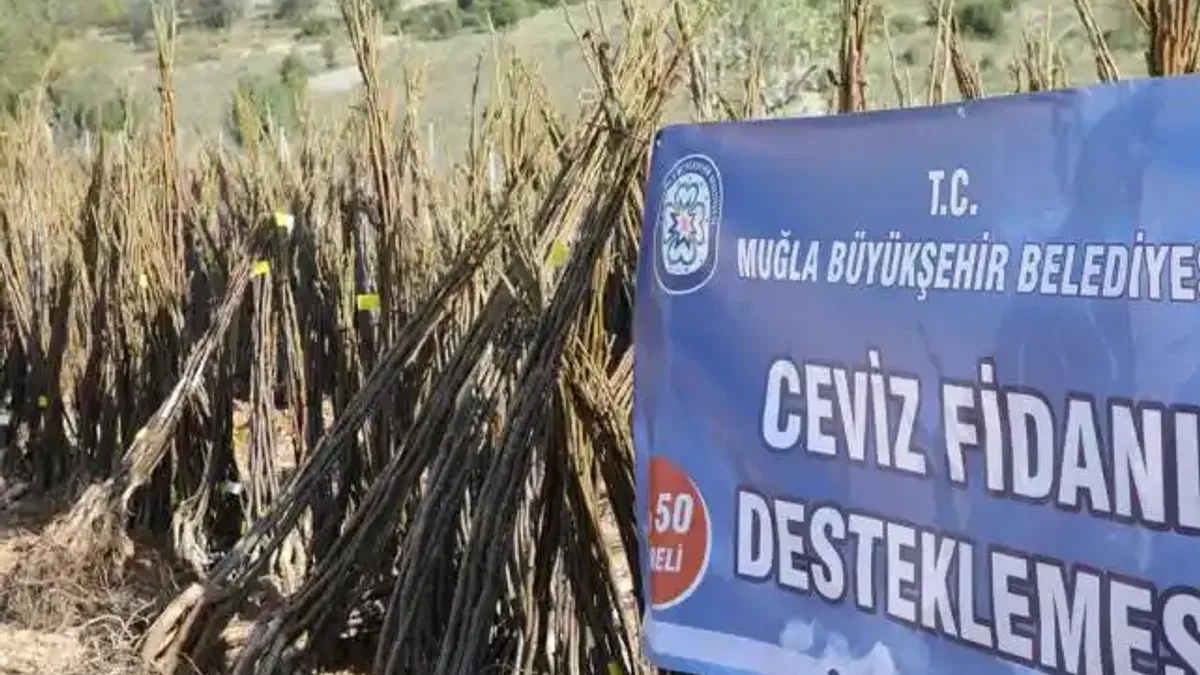 Muğla'da her kapıda bir fidan!