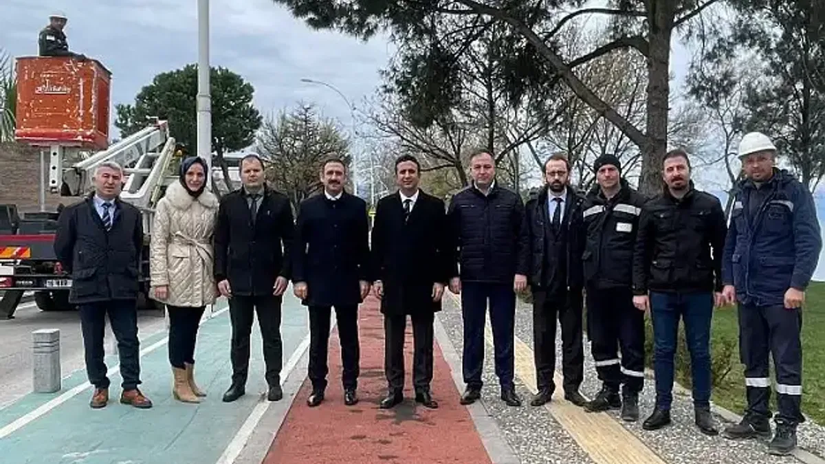 Sokak lambaları, kuşların yeni yuvası oldu