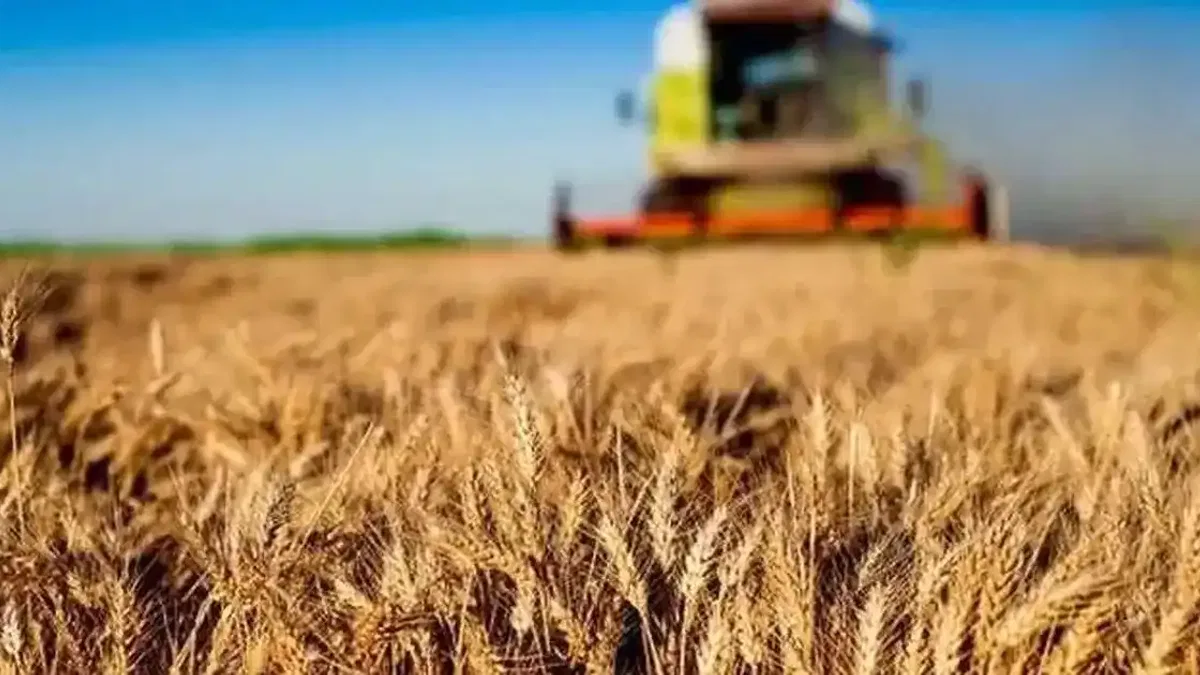 Kırsala 12,5 milyar liralık dev hibe desteği