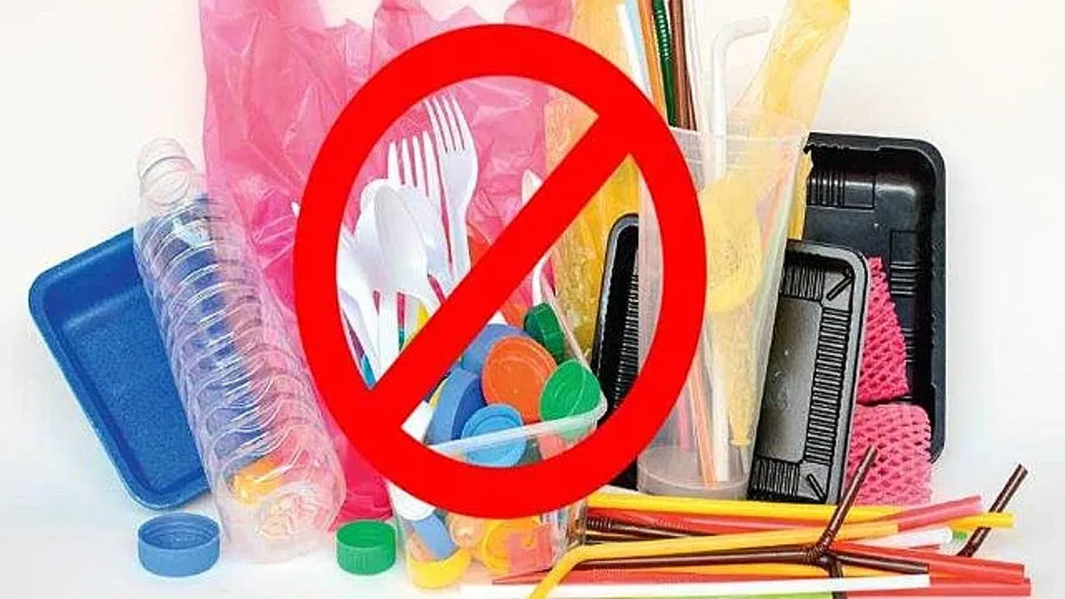 Tek kullanımlık plastik kısıtlamalarına PLASFED eleştirisi
