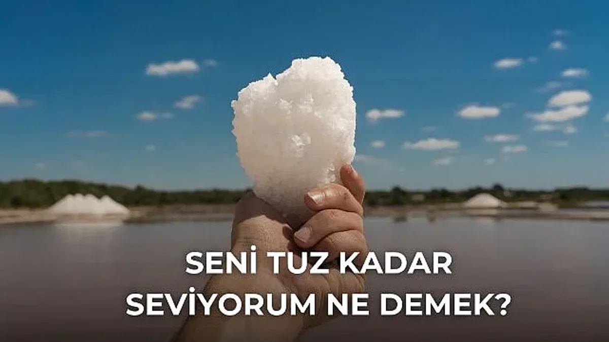 Seni Tuz Kadar Seviyorum Ne Demek? Hikayesi, Anlamı ve Kullanımı!