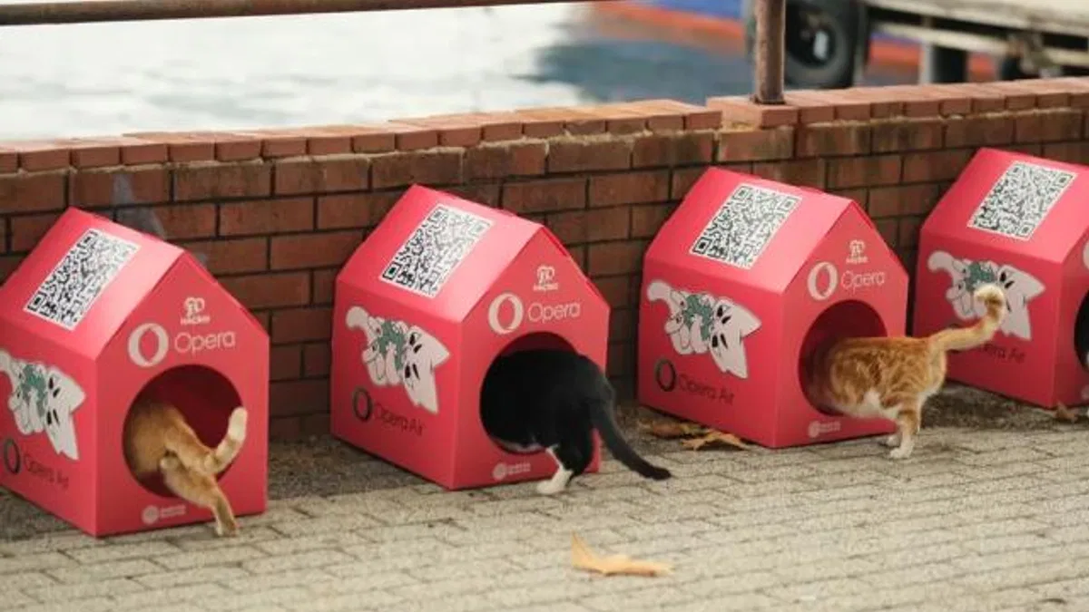 Opera 'Kedi Mahallesi' Oluşturmak için HAÇİKO ile Güçlerini Birleştirdi