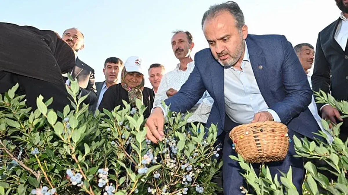 Bursa Büyükşehir tarlada üreticiye nefes oldu