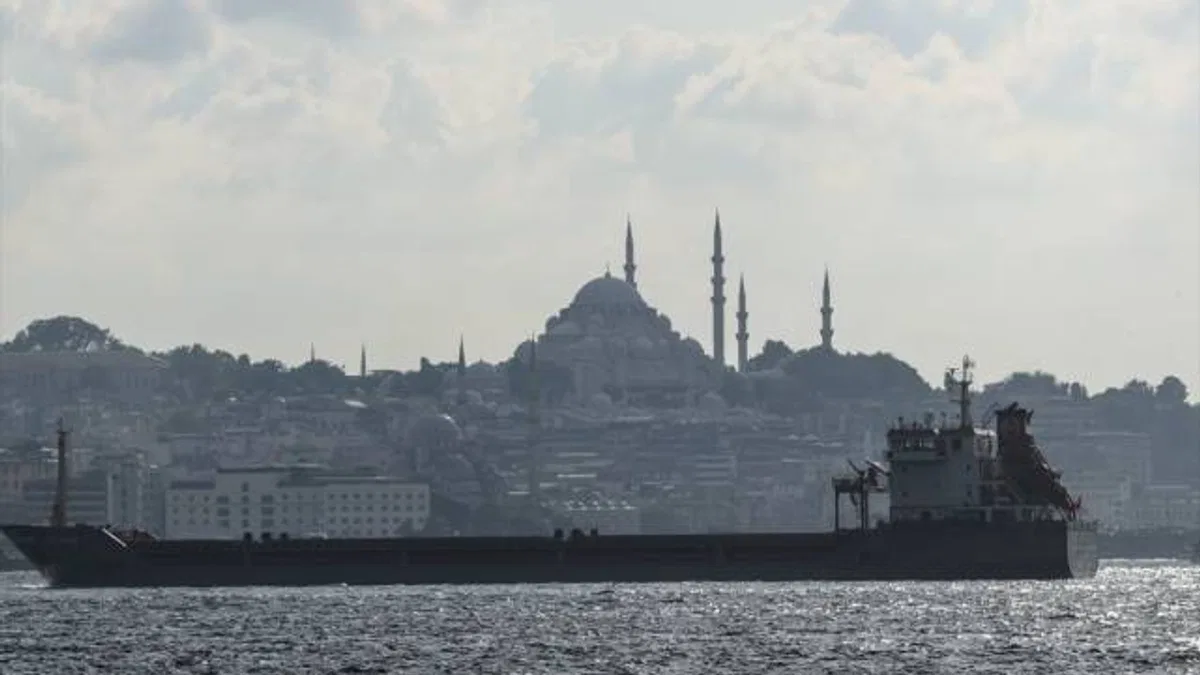 İsviçre'den Türkiye'nin koordinasyonuyla Ukrayna'dan tahıl sevk edilmesine destek