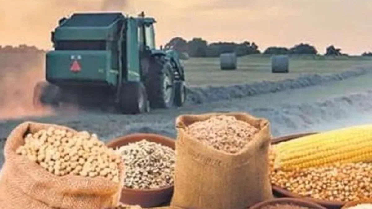 Arpa ve mısır ithalatında tarife kontenjanı güncellendi
