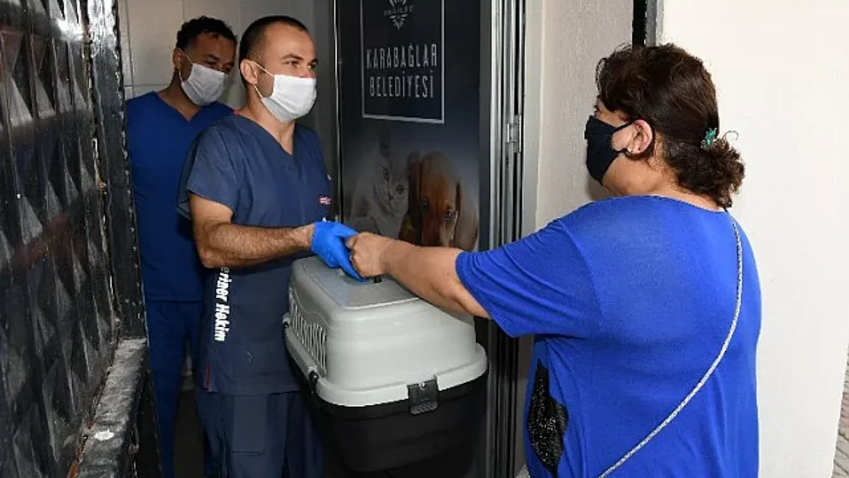 Hayvan kısırlaştırmada Karabağlar'da online dönem