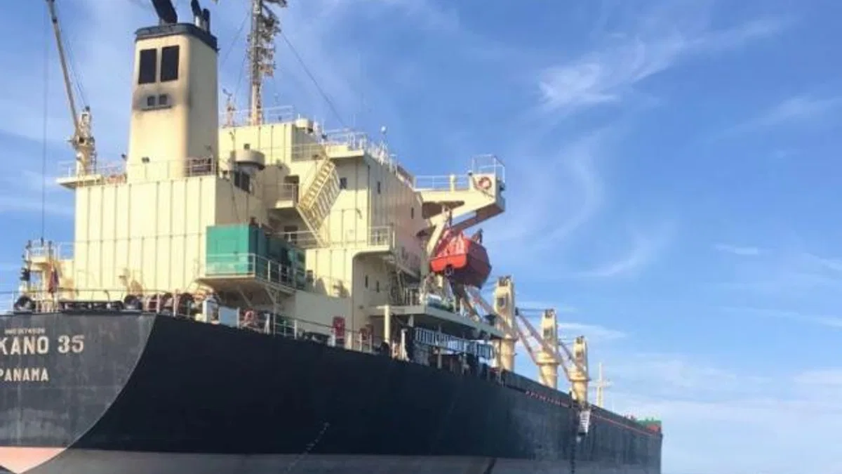 Kuru yük gemisi İstanbul Boğazı'nd arıza yaptı! Karaya sürüklendi