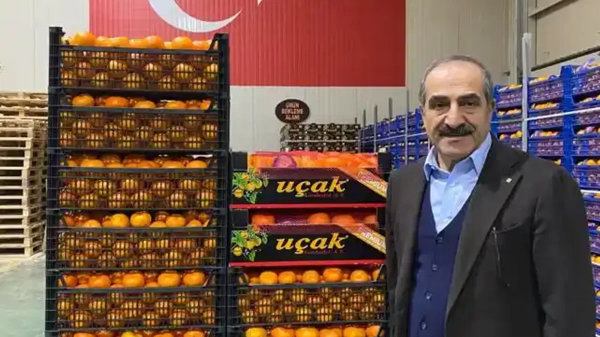 Mandalina İhracatı Tarih Yazıyor