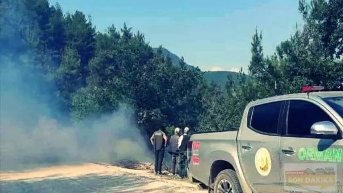 Nallıhan'da ormanlık alanda çıkan yangın söndürüldü