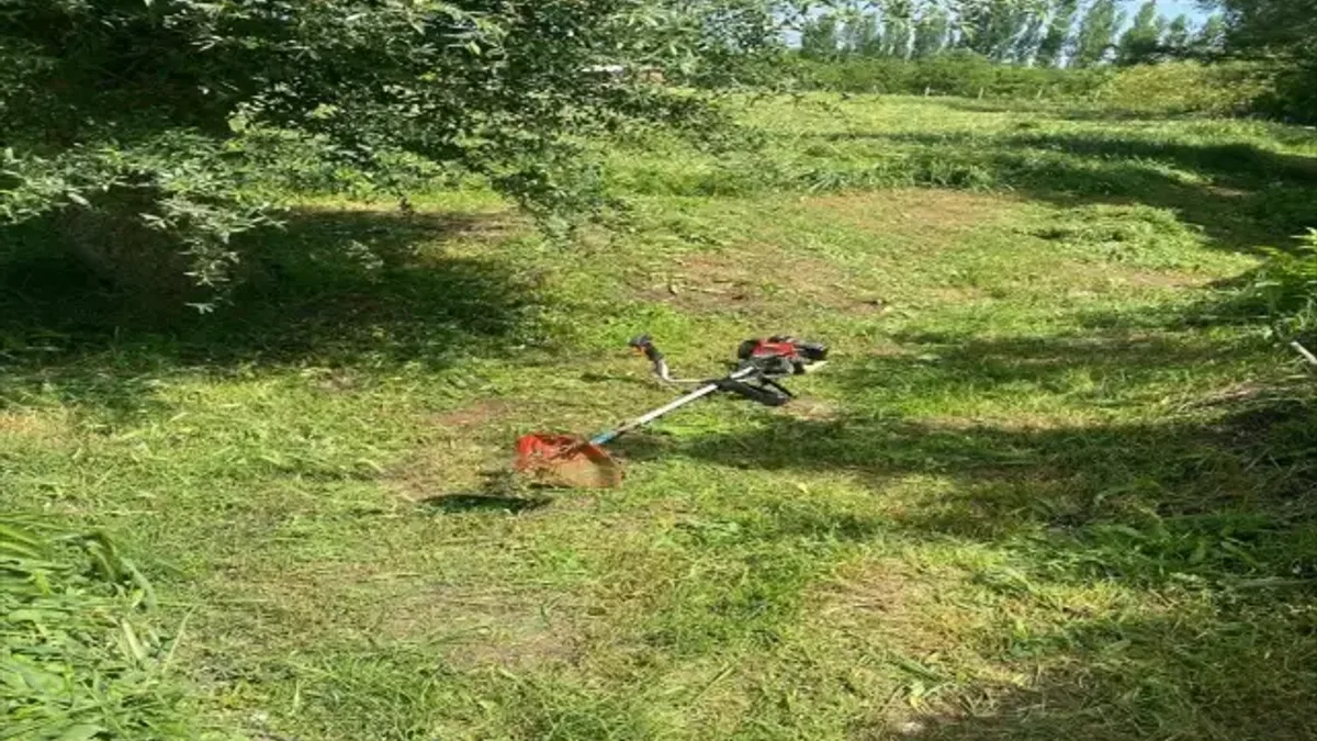 Çim biçme makinesinin gürültüsü kavgaya sebep oldu