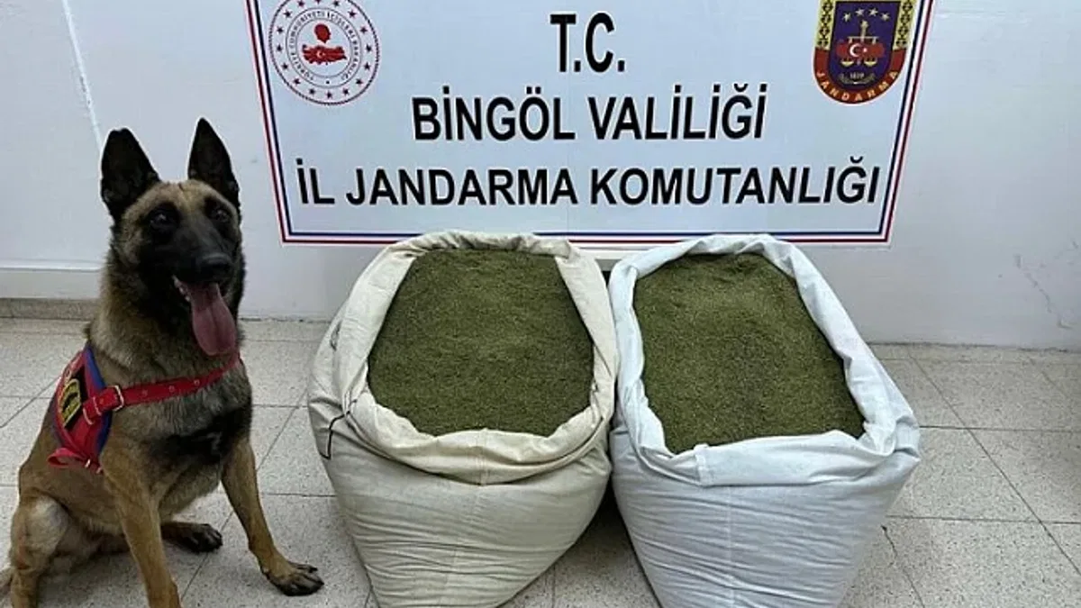 Bingöl'de uyuşturucu operasyonu