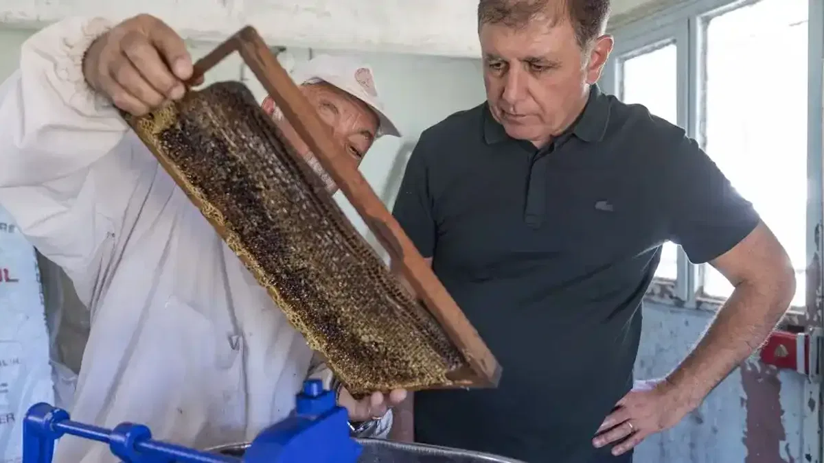 İzmir'de Başkan Tugay üreticiyle bal sağdı