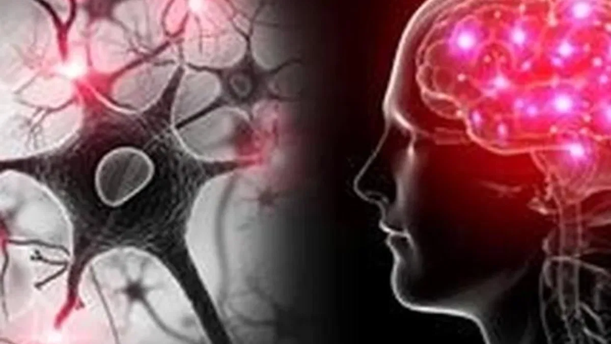 Yapay zekâ ve EEG ile otizm ve dislekside erken teşhis umudu