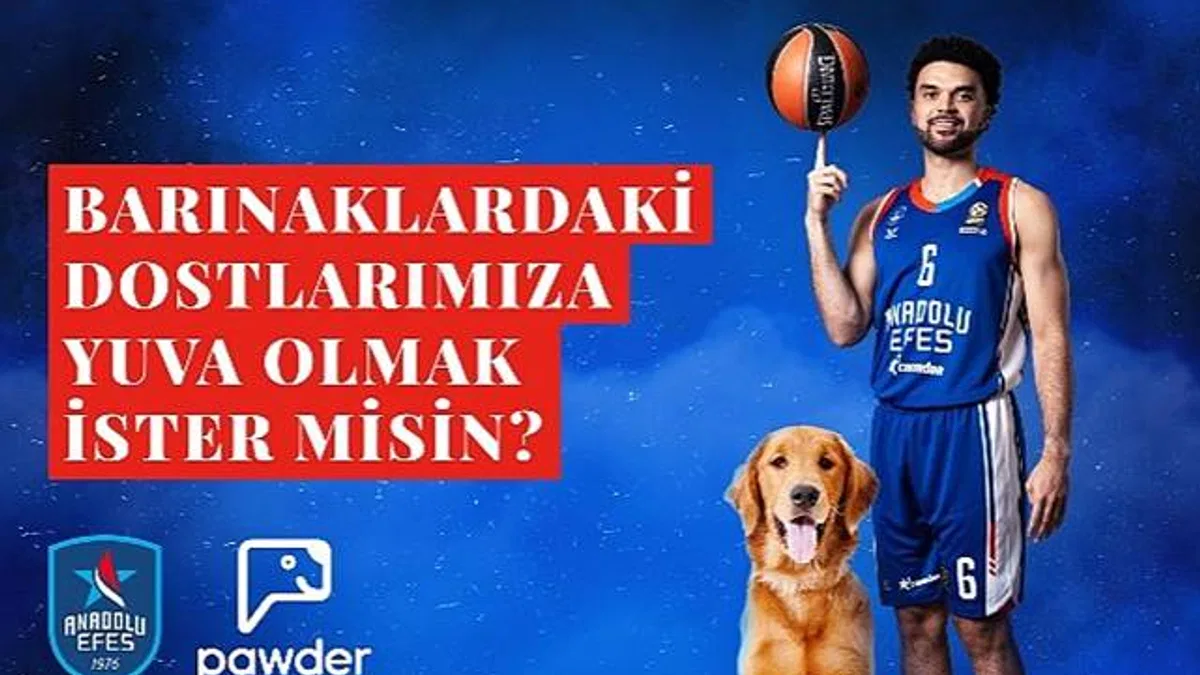 Anadolu Efes, Pawder İş Birliğiyle Depremzede Köpeklerin Ve Barınak Hayvanlarının Sahiplendirilmesine Destek Olacak