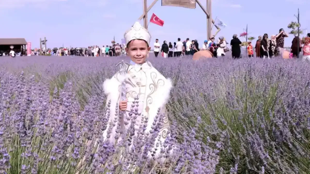 Karatay'da Lavanta Bahçesi'nde festival hazırlığı