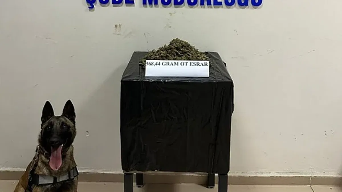 Bingöl'de uyuşturucu madde ticaretine 1 tutuklama