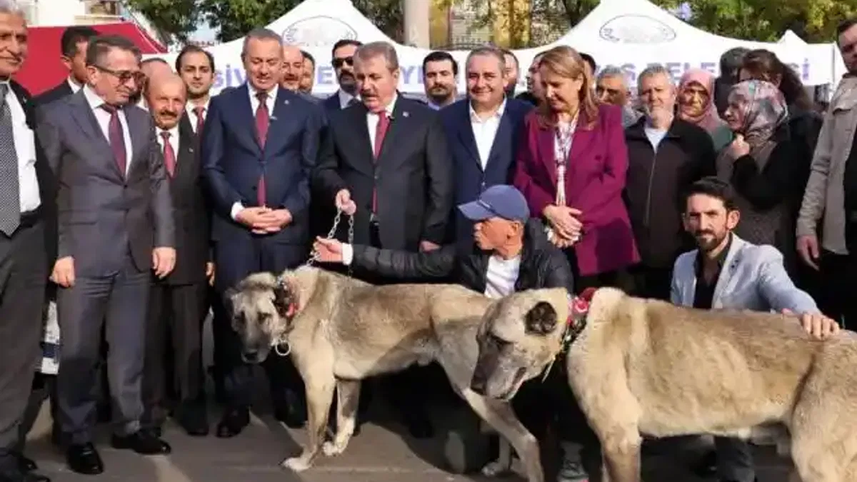 Ankara Keçiören'de 'Sivas Günleri' coşkusu