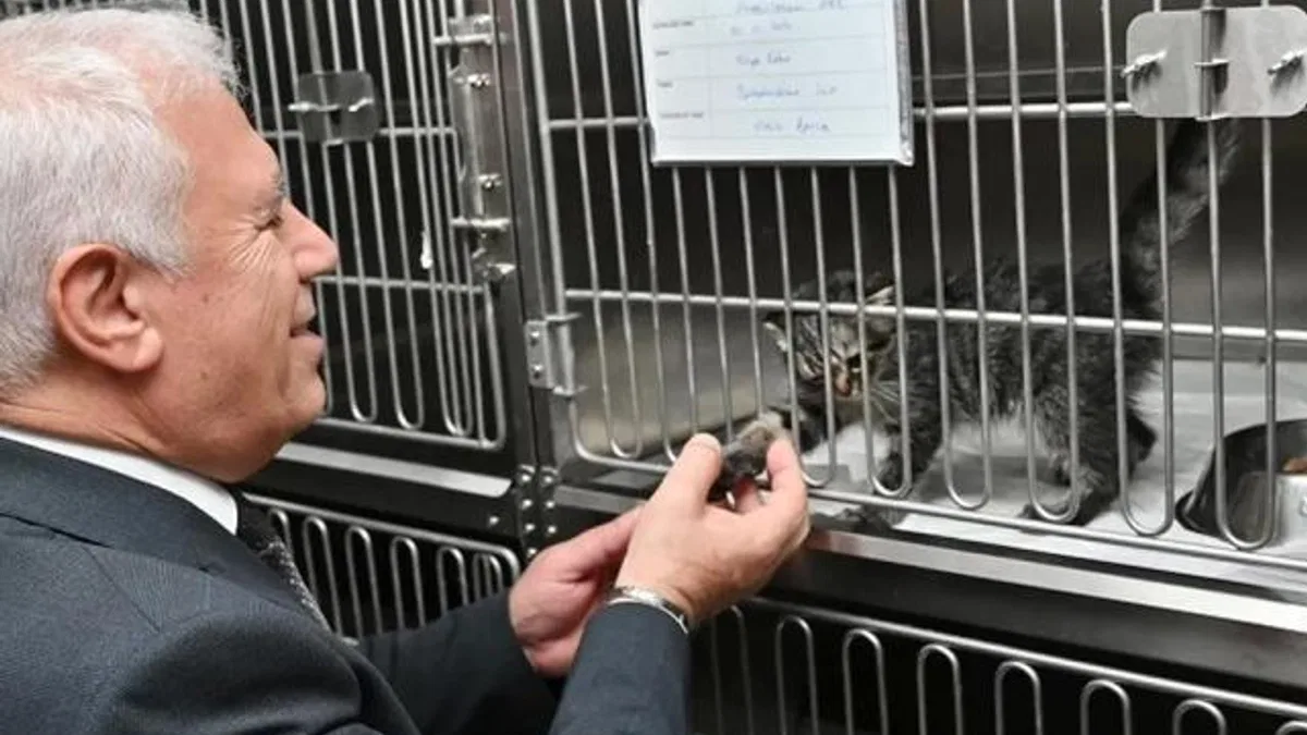 Bursa Büyükşehir'den 'yuvanız yuvası olsun' projesi