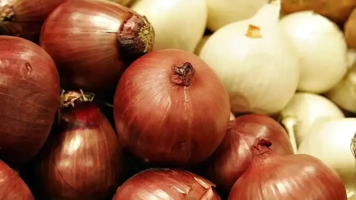 Kuru soğanda gümrük geçici yüzde 5'e indirildi