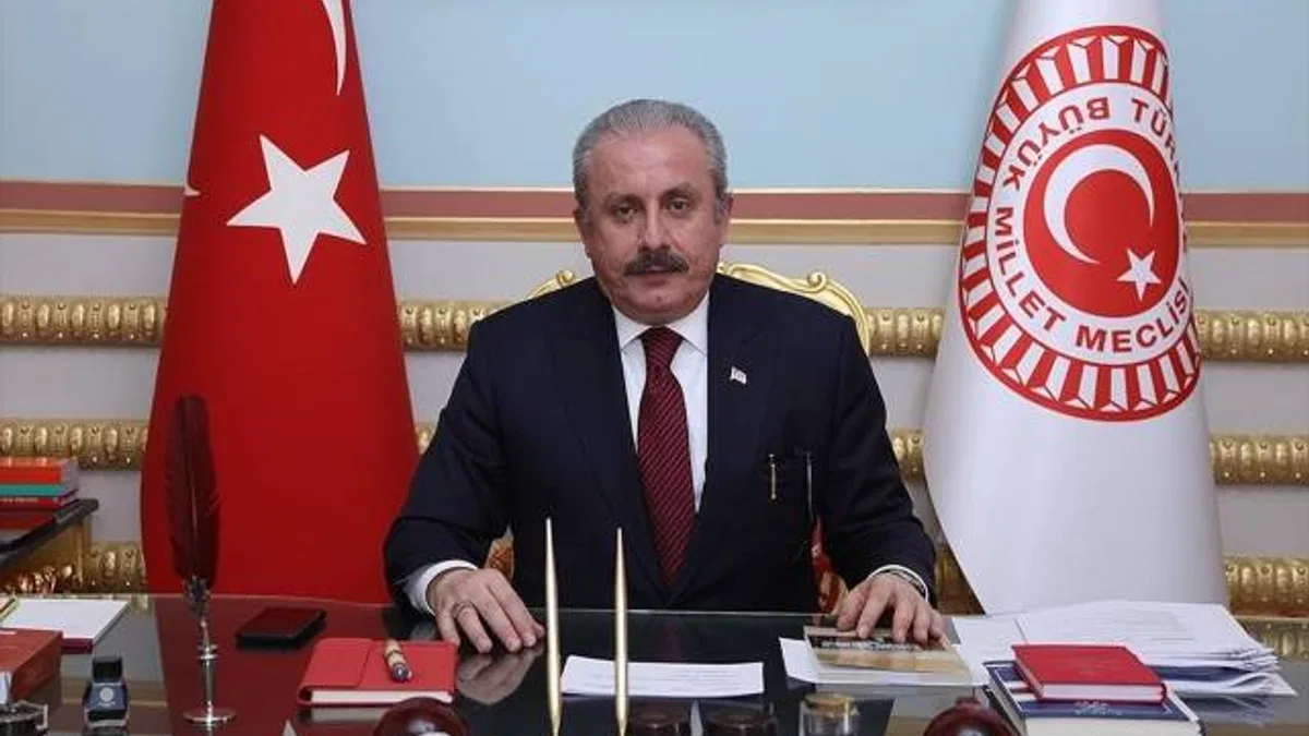 TBMM Başkanı Şentop'tan, Kırgızistan ve Tacikistan'a "diyalog" çağrısı