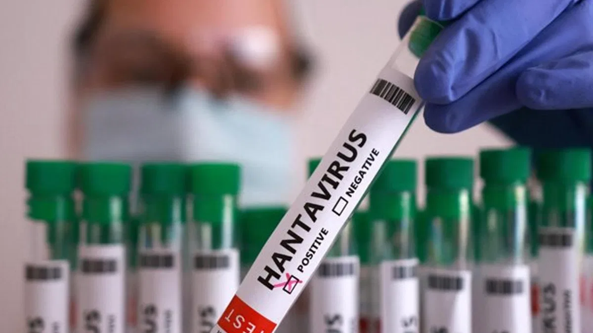Hantavirüs açıklaması: Türkiye'de pozitif vaka yok!