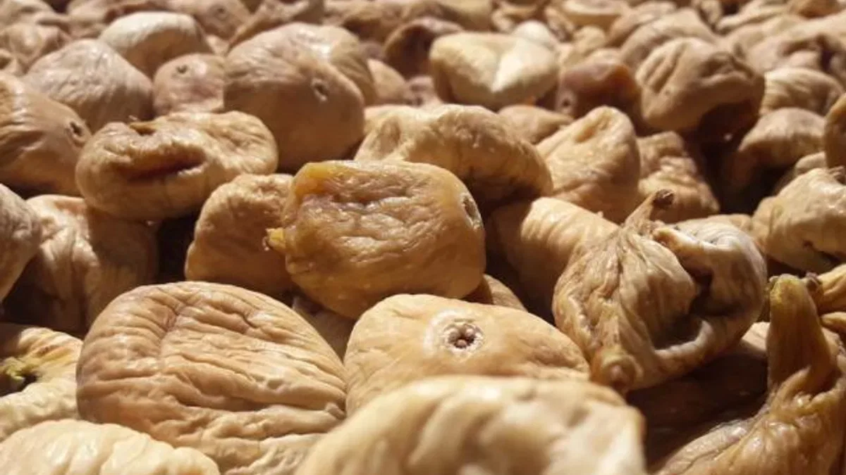 Kuru incirin gıda güvenliği için 19 bin kerevet dağıtıldı