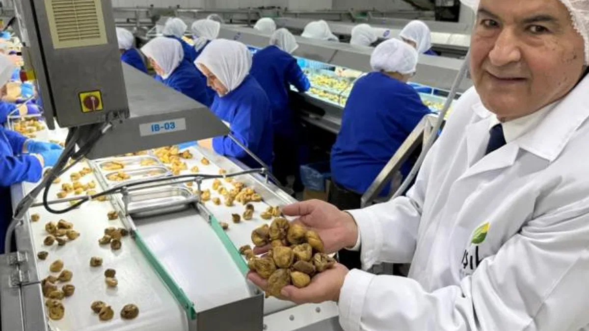 Kuru meyve sektöründe 12 şampiyonun 11’i Egeli