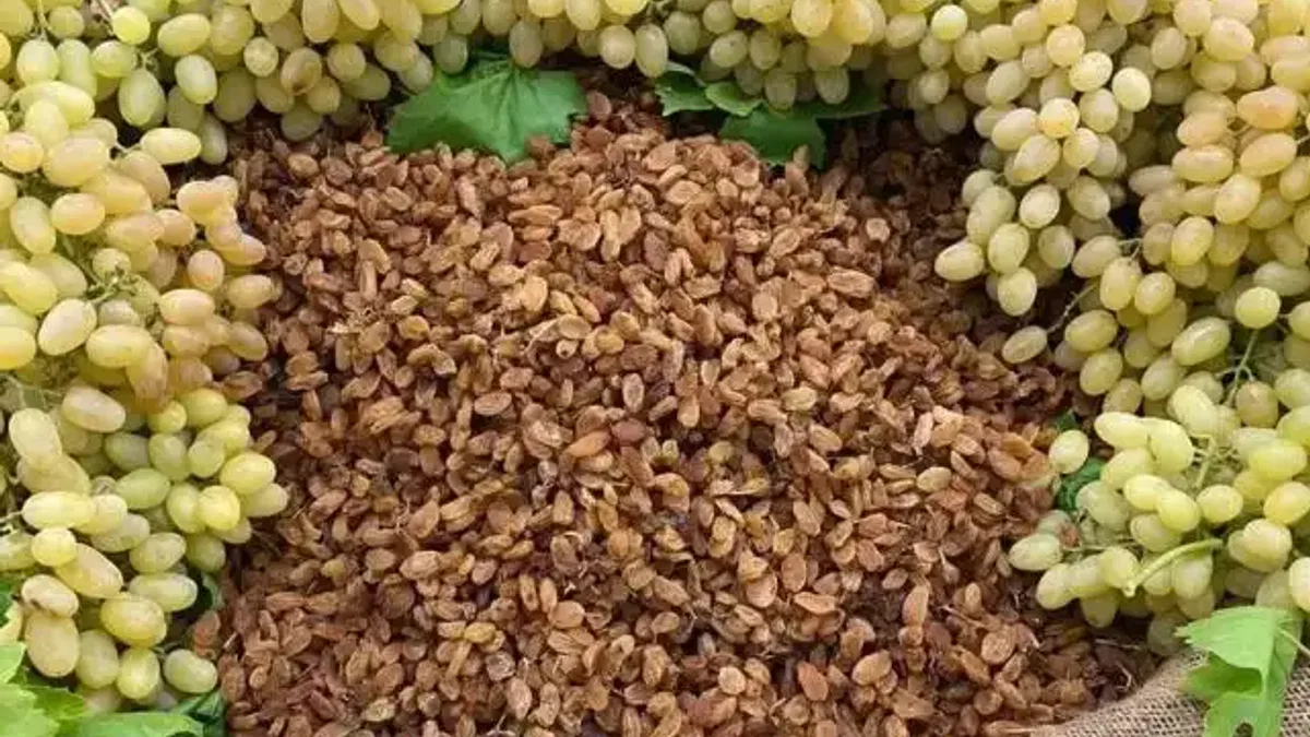 Çekirdeksiz ihracatta Türkiye 'en'leri yaşadı