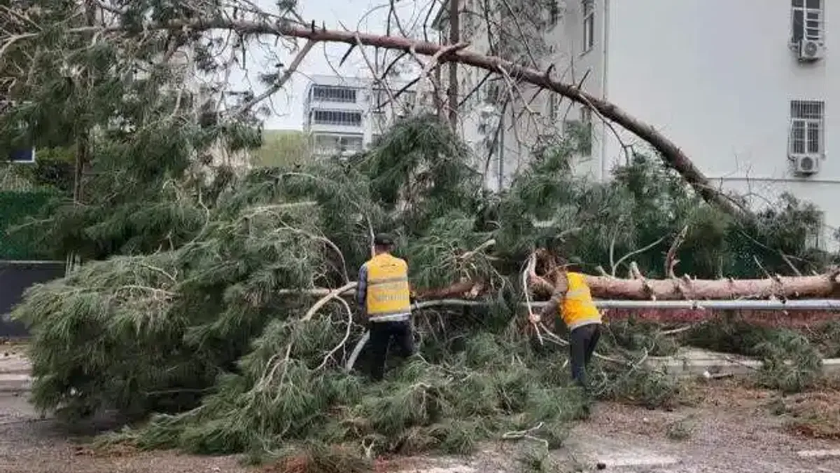 Gaziantep ve Şanlıurfa’ya 150 milyon TL afet desteği!