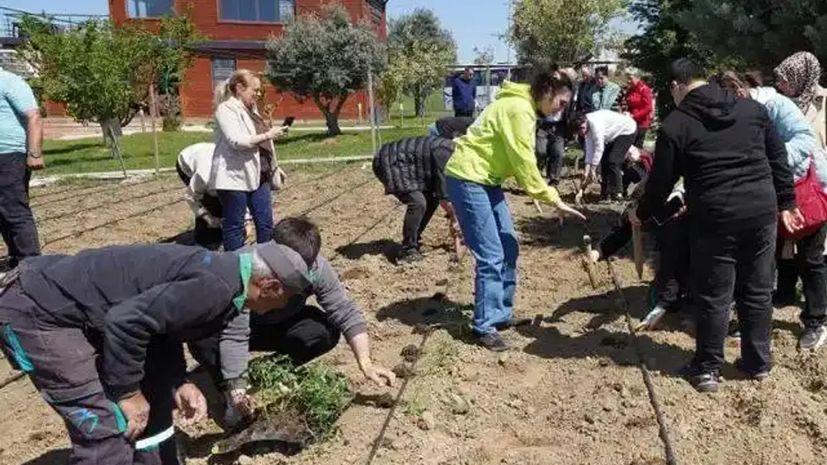 İstanbul Beylikdüzü'nde yazlık fideler toprakla buluştu