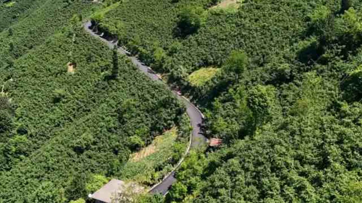 Ordu'da 3,5 kilometrelik asfalt tamamlandı