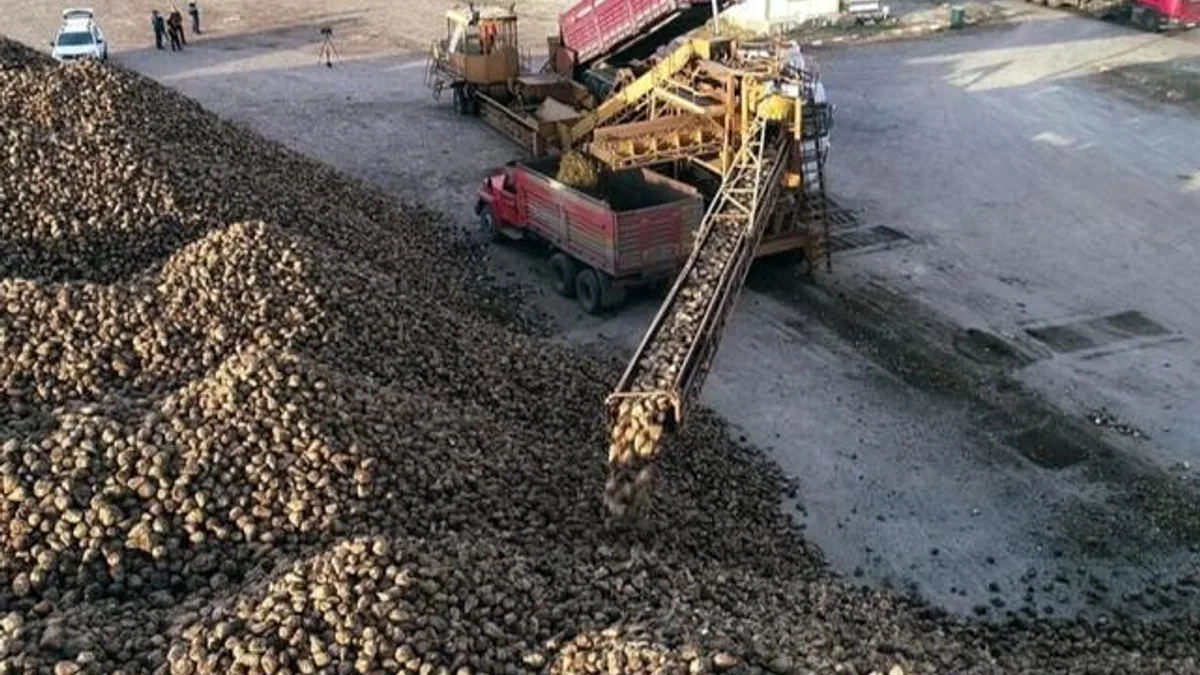 Erzurum ve Erzincan'da pancar hasadı tamamlandı
