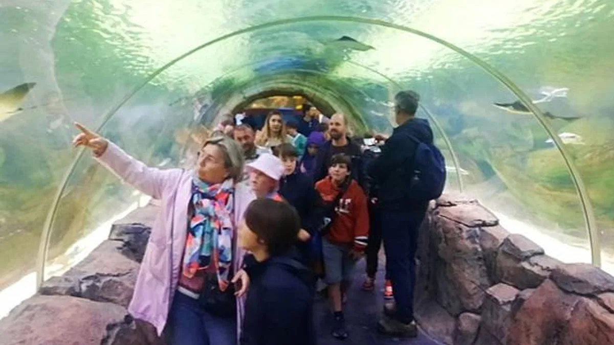 Yabancı Öğrenciler Keçiören'i Gezdi