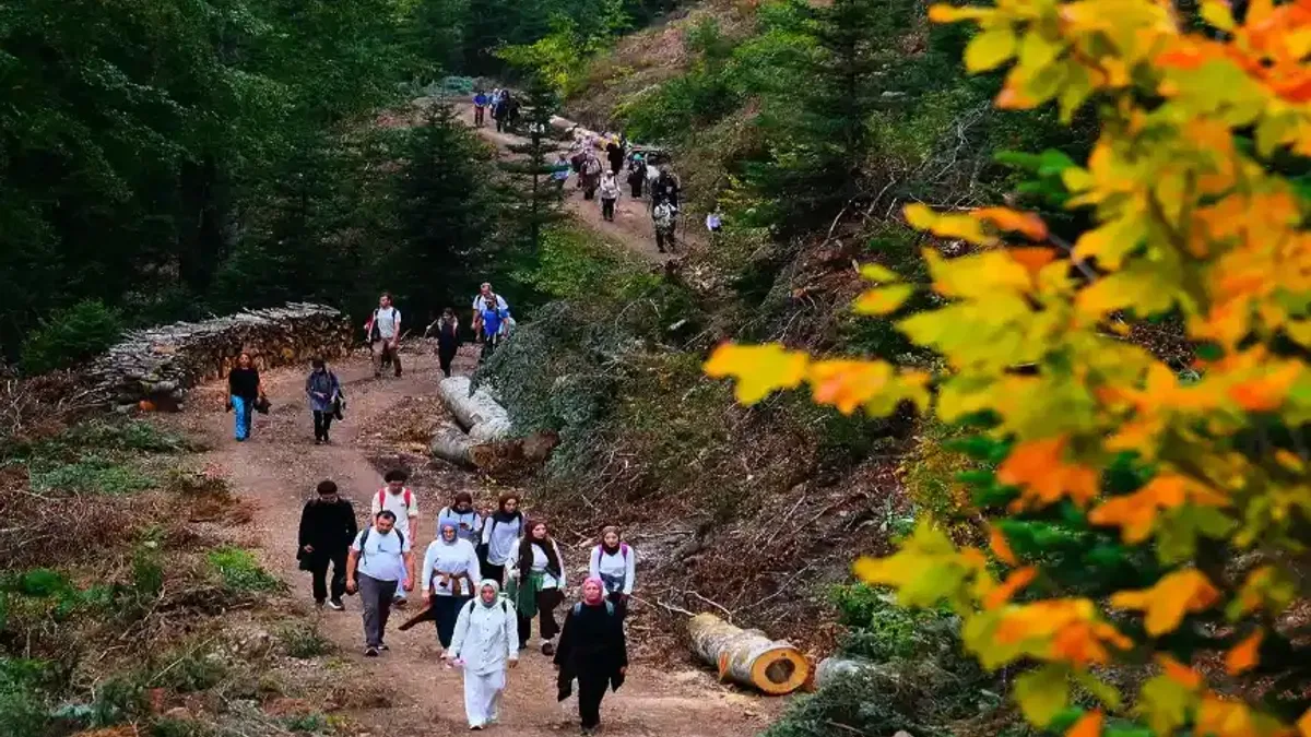 Sakarya'da doğaseverler Hendek yaylalarını adımladı