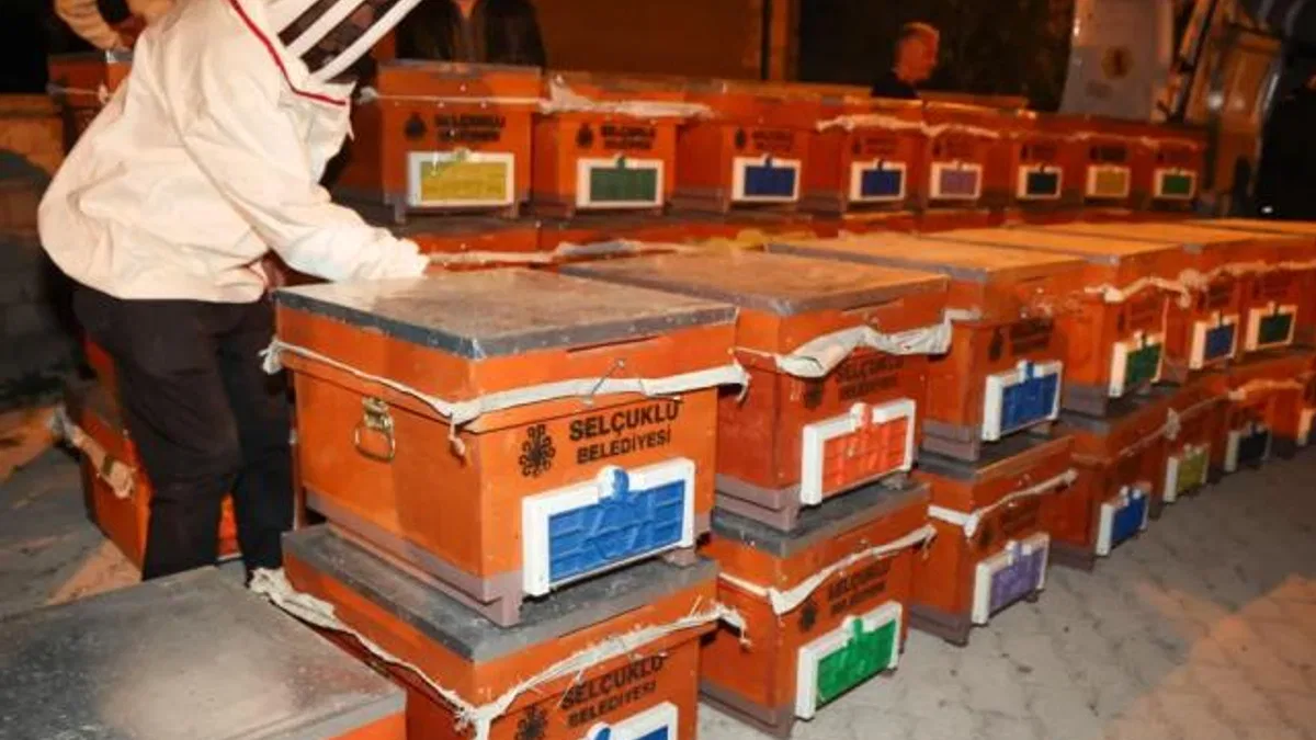 Konya Selçuklu'da arılı kovan desteği sürüyor