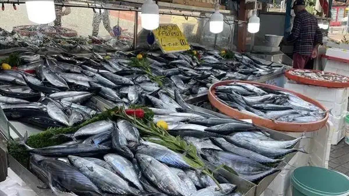 Amasra'da bol miktarda avlanan palamut tezgahları şenlendirdi
