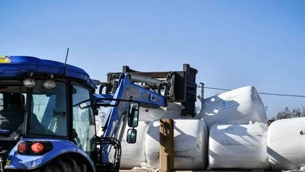 ABB'den üreticiye mısır silajı desteği