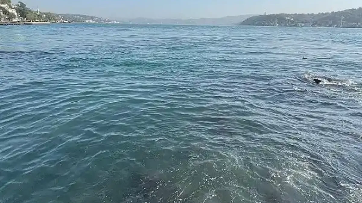 İBB'nin bağlı kuruluşu İstanbul Su ve Kanalizasyon İdaresi (İSKİ), Baltalimanı'nda boğaza atık su akışı olduğu iddialarını yalanladı