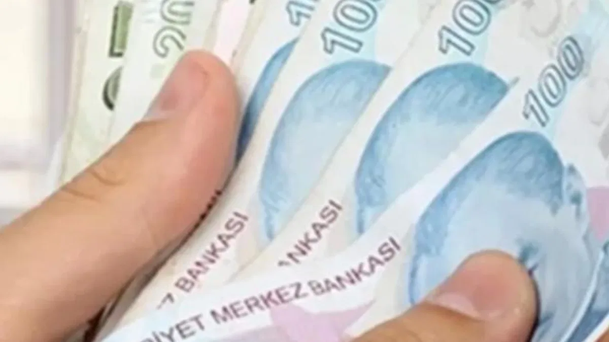 Ulusal Vefa Programı'na 3,8 milyar lira