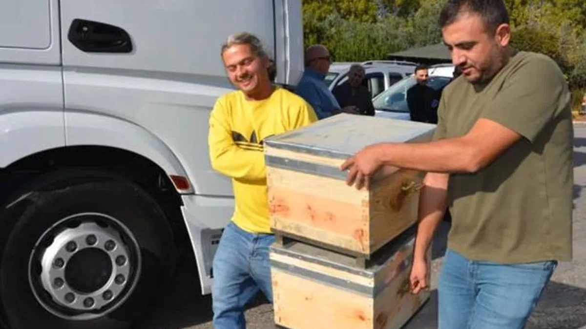 Antalya Büyükşehir'den bal üreticilerine arı kovanı