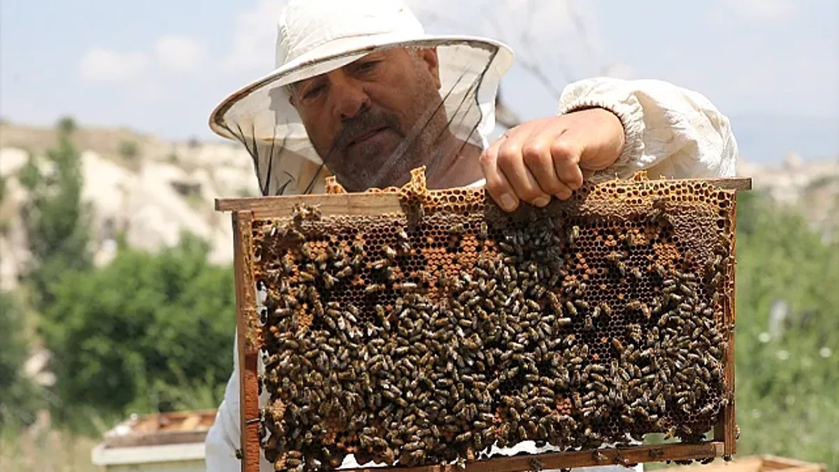 Bahçesine toplanan arılarla başladığı üretimi 30 yıldır sürdürüyor