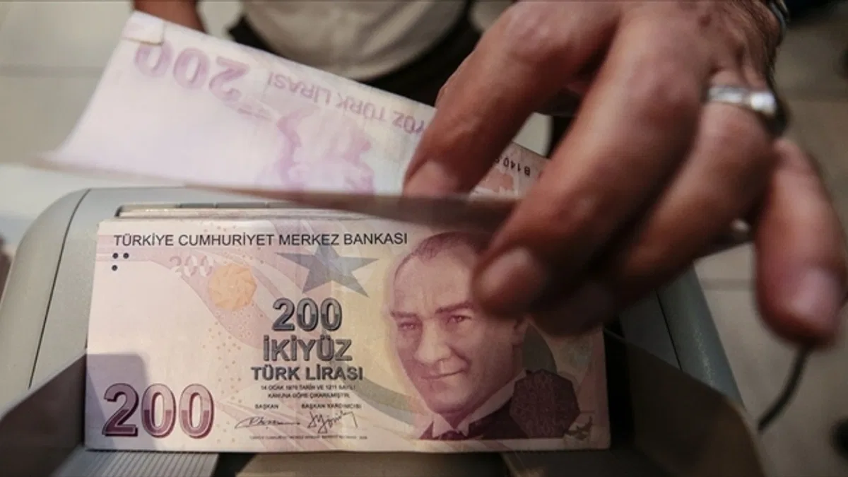 Tasarruf şirketlerinin lisanslanması sonrası sektöre ilginin katlanarak artması bekleniyor