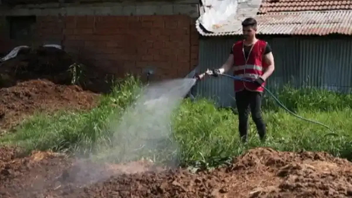 Düzce'de ilaçlama çalışmaları yeniden başladı