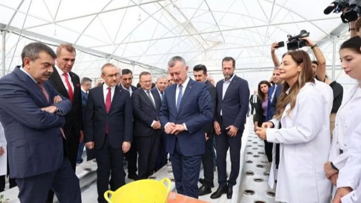 Kocaeli'nde öğrenciler Ar-Ge serasında çilek yetiştiriyor