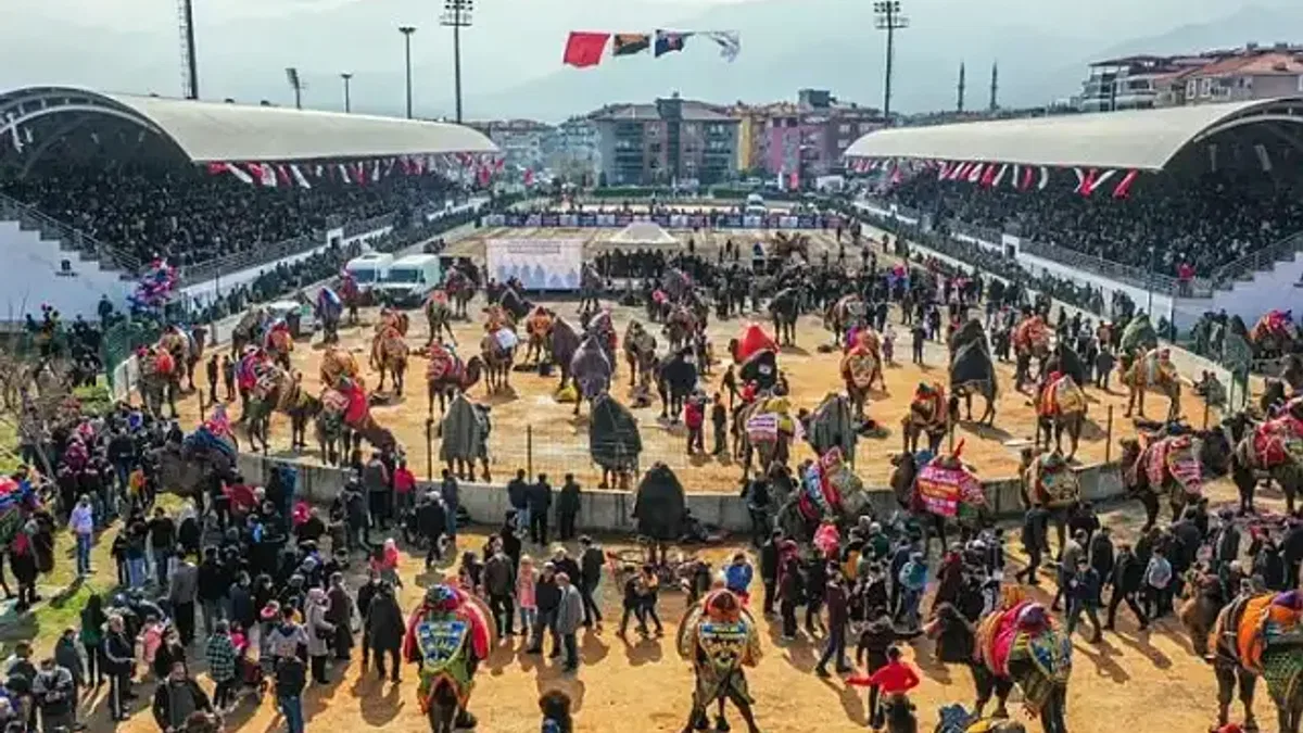 Denizli'de deve güreşi şöleni